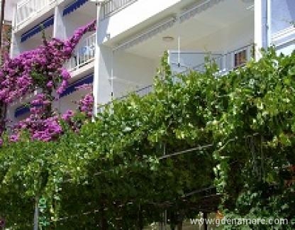 Apartments &#34;Rose&#34;, private accommodation in city Baška Voda, Croatia